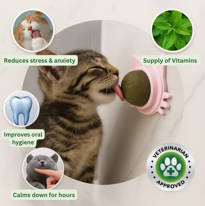 Nura - Kitty Therapy Ball™