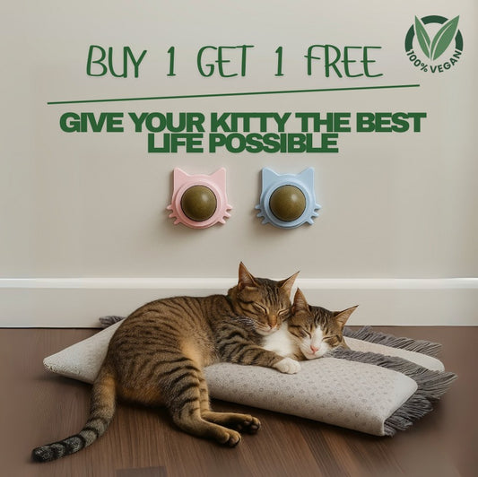 Nura - Kitty Therapy Ball™