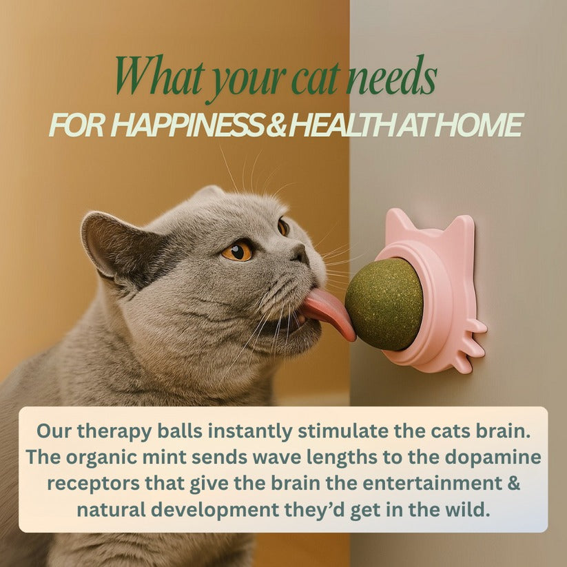 Nura - Kitty Therapy Ball™